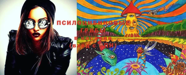 спиды Инсар