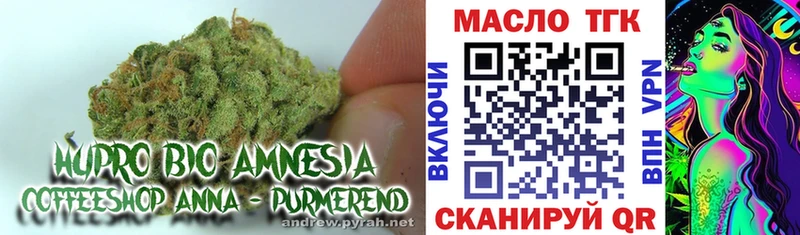 ТГК жижа  Купить закладки  Шумиха 