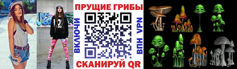 Галлюциногенные грибы MAGIC MUSHROOMS  Купить закладки  Шумиха 